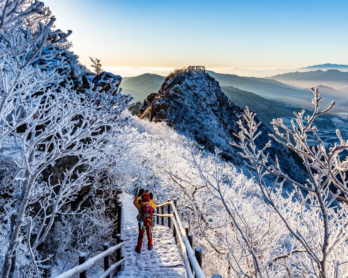 곤도라 타고 만나는 덕유산 눈꽃 기차여행