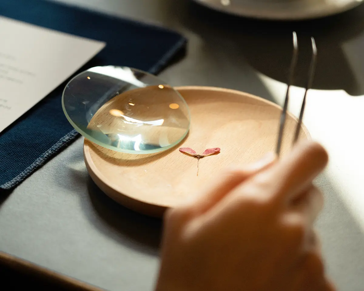 나에게 주는 용기 한 알, 씨앗 드로잉 워크숍