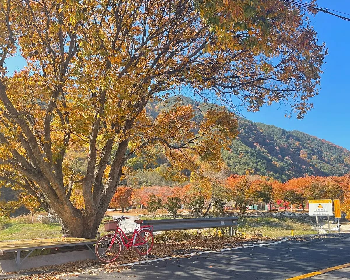 할매, 함양에서 손녀들 잘 쉬다 가요!