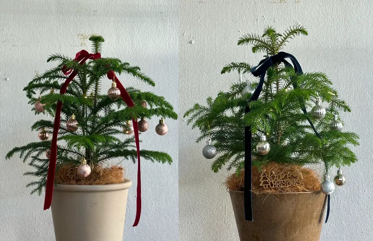 반짝이는 연말, 나만의 트리를 만들어요