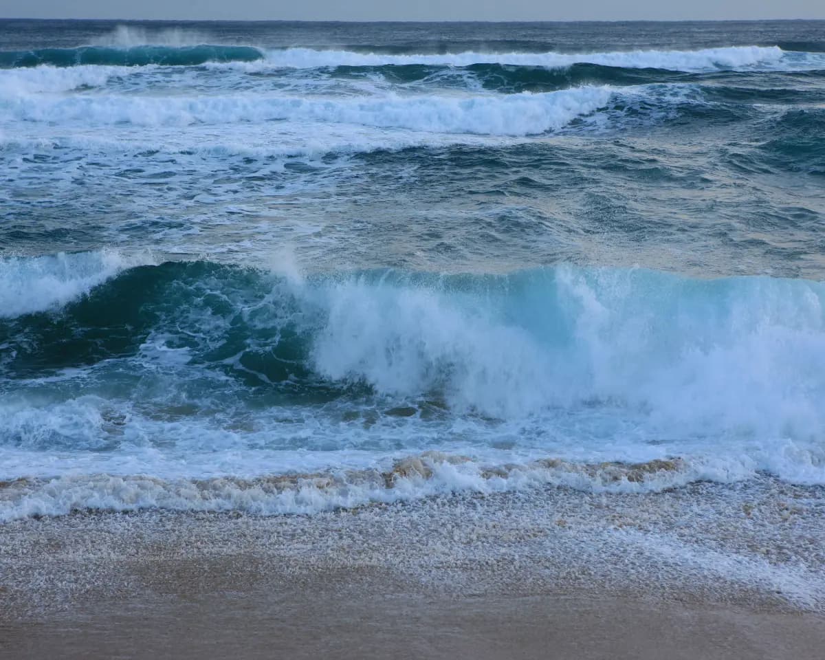 겨울 바다 보러 가자! 당일치기 강릉 기차여행 