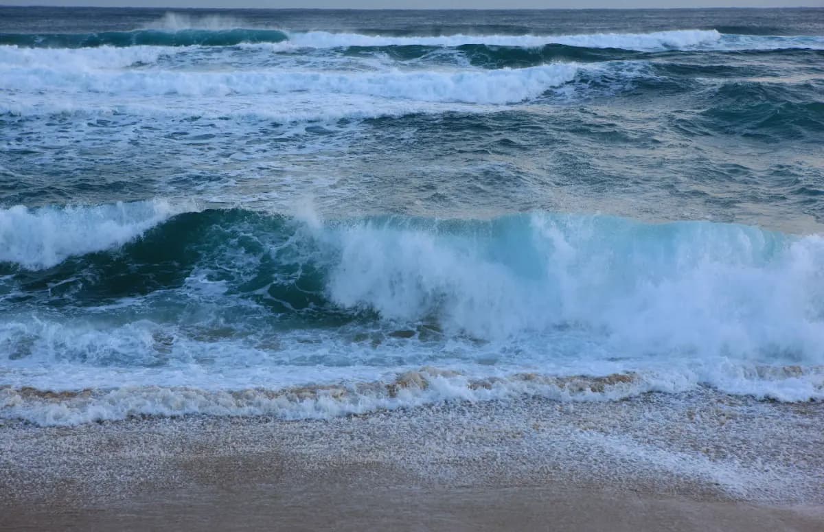 겨울 바다 보러 가자! 당일치기 강릉 기차여행 