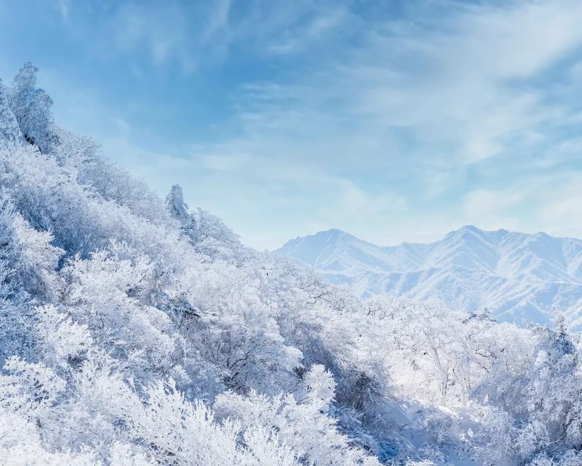 곤도라 타고 만나는 덕유산 눈꽃 기차여행