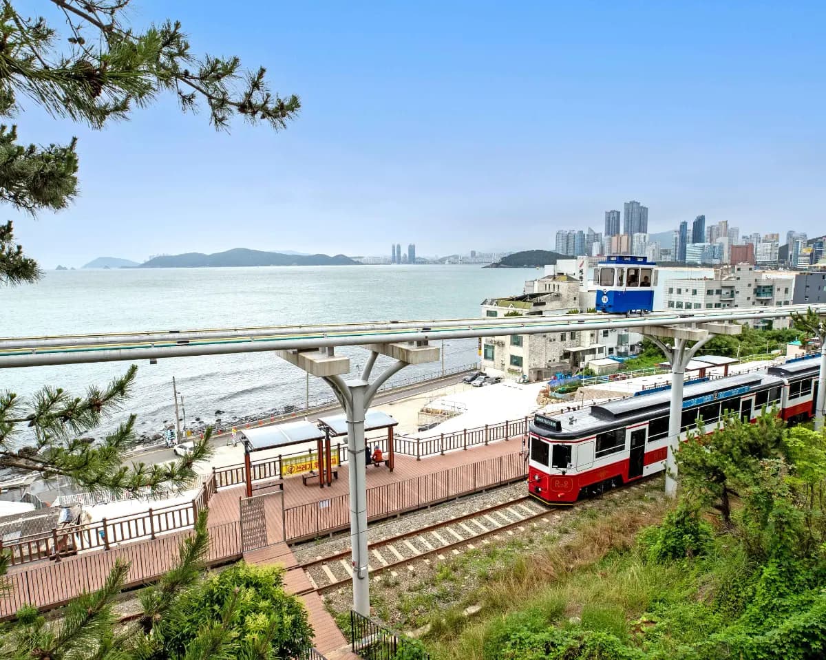 겨울 바다 보러 가자! 당일치기 부산 기차여행 