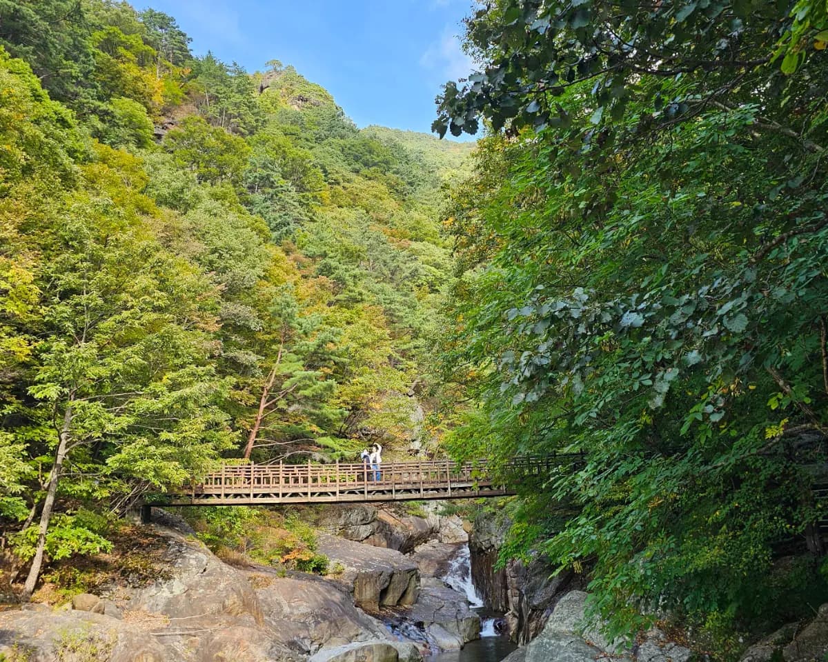 할매, 함양에서 손녀들 잘 쉬다 가요!