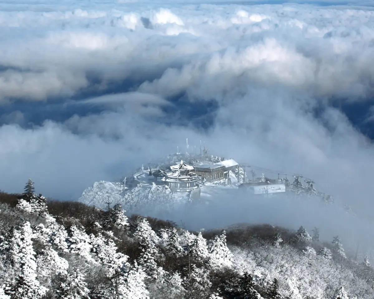 곤도라 타고 만나는 덕유산 눈꽃 기차여행