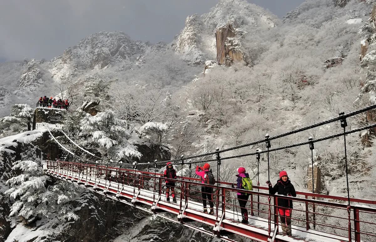 케이블카 타고 만나는 대둔산 설경 기차여행