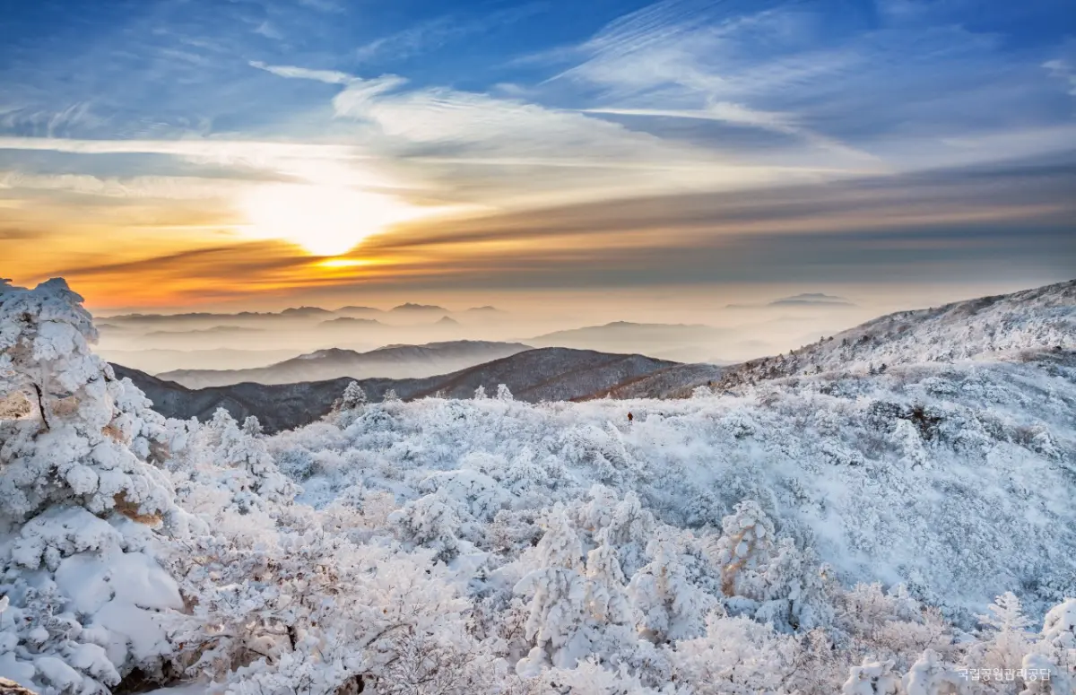 곤도라 타고 만나는 덕유산 눈꽃 기차여행