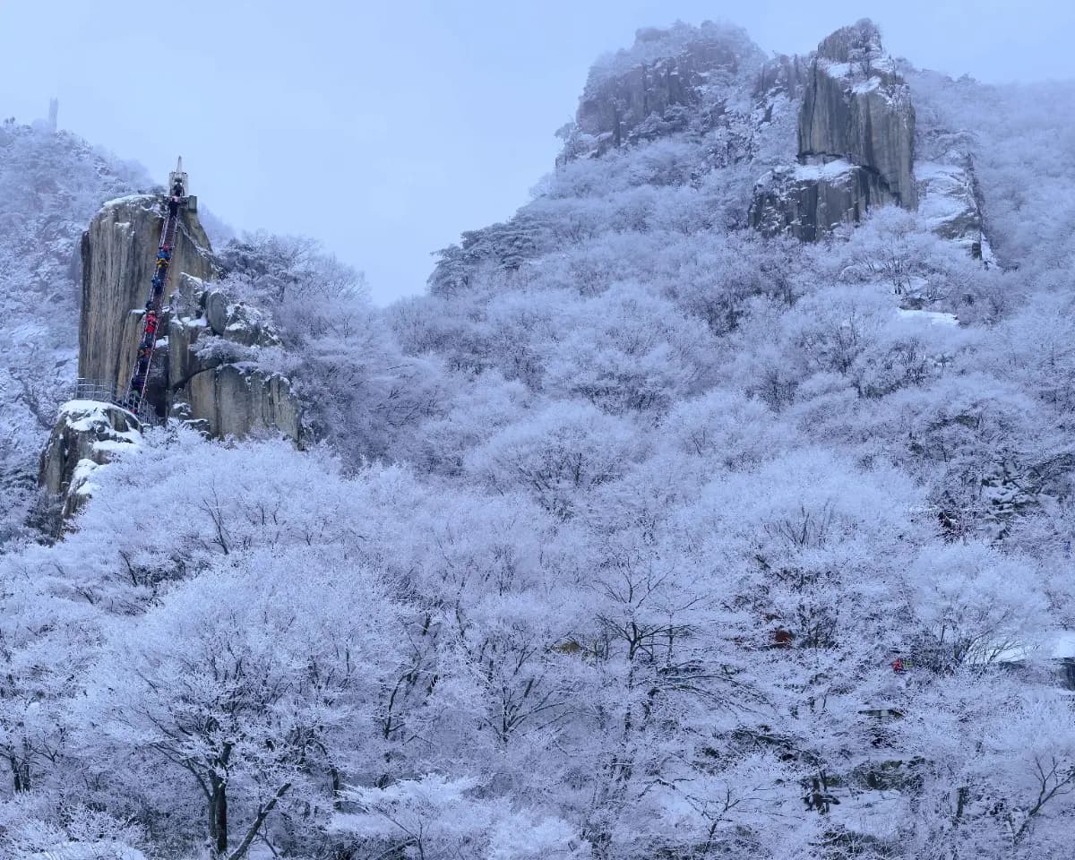 케이블카 타고 만나는 대둔산 설경 기차여행