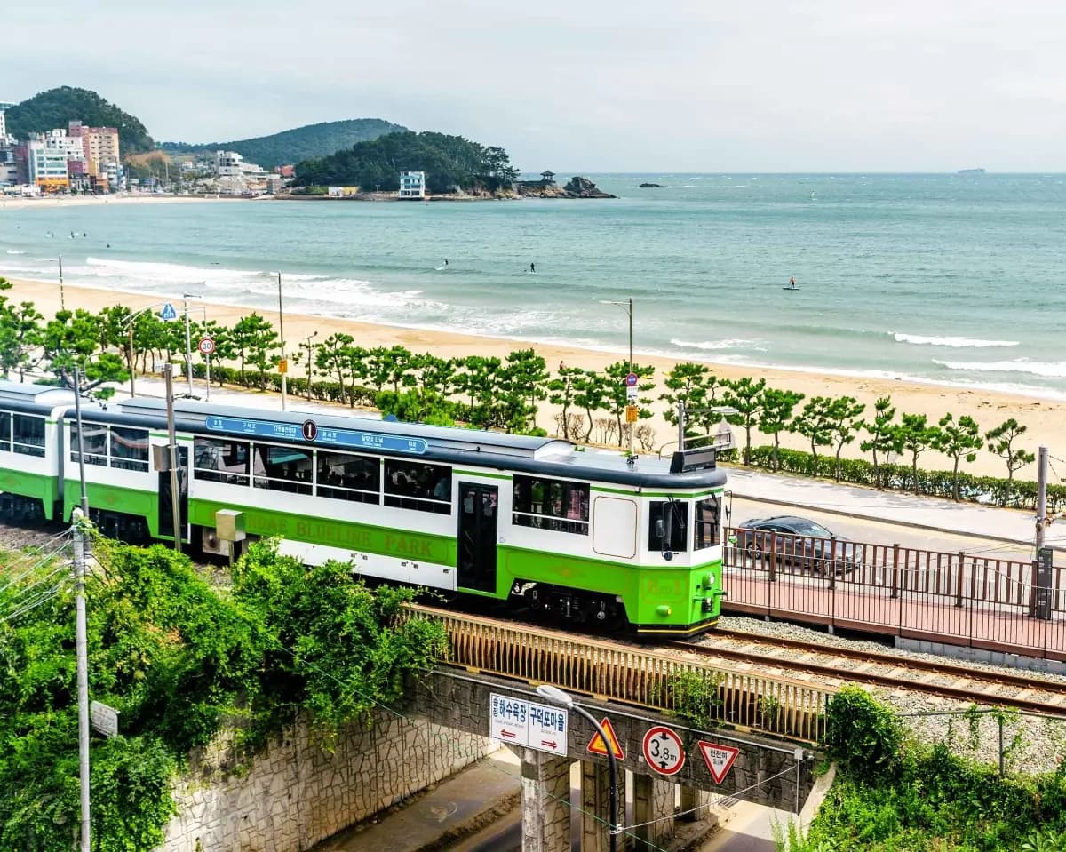 겨울 바다 보러 가자! 당일치기 부산 기차여행 