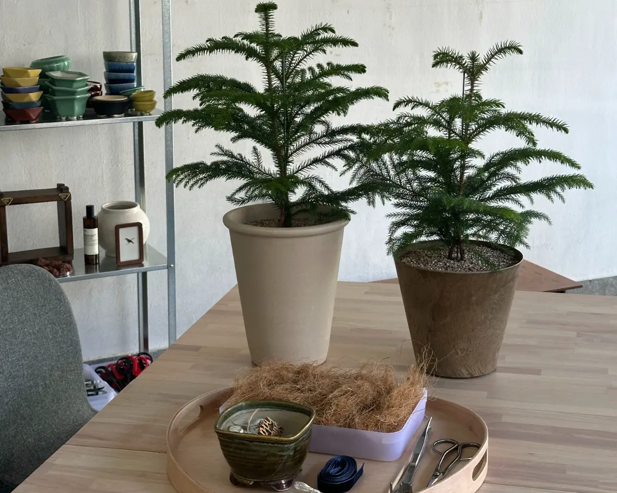 반짝이는 연말, 나만의 트리를 만들어요