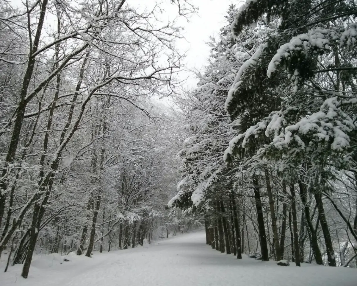 겨울 바다 보러 가자! 당일치기 강릉 기차여행 