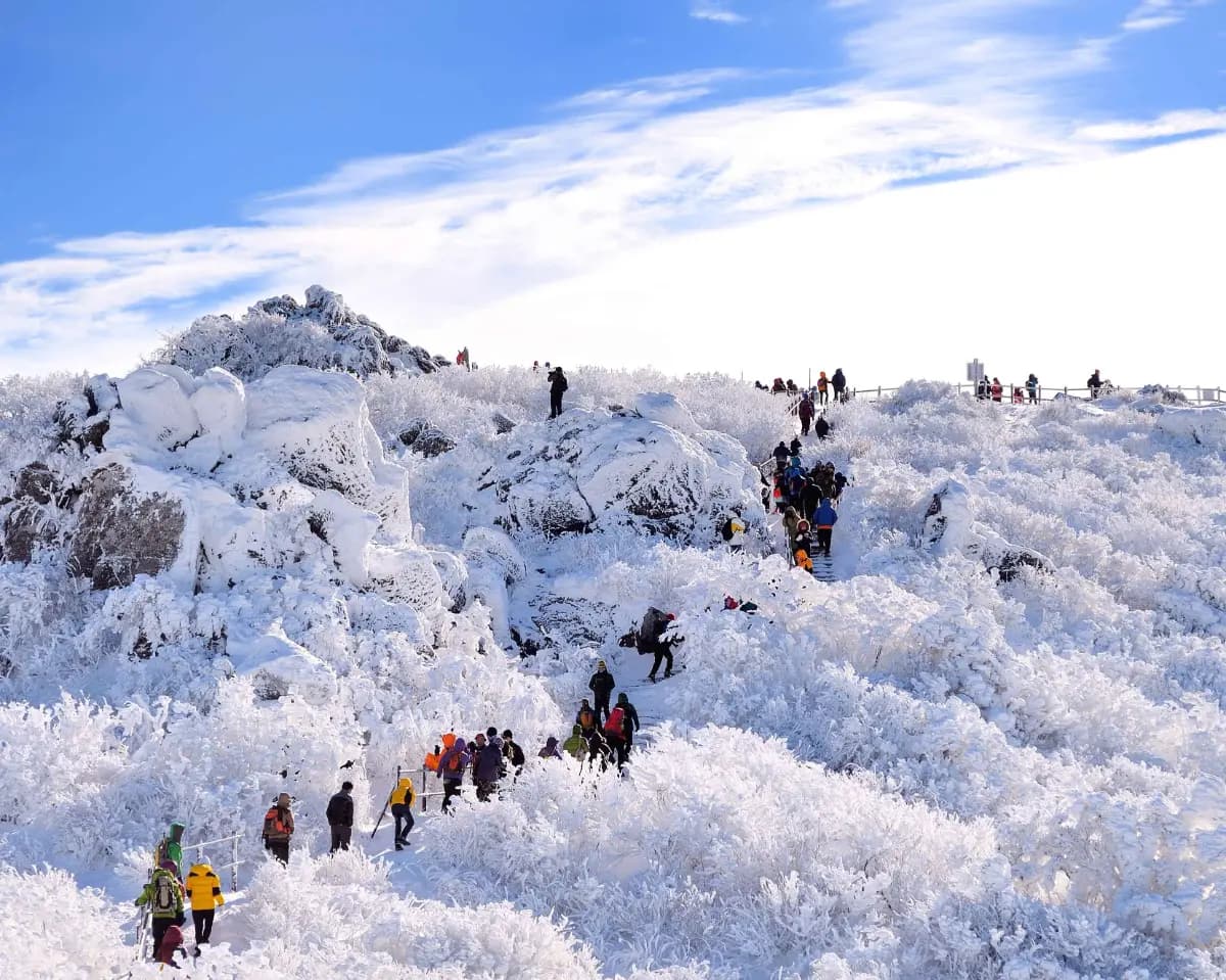 곤도라 타고 만나는 덕유산 눈꽃 기차여행