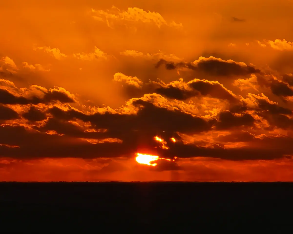 해돋이 떡국으로 새해 시작! 2026 일떡찰