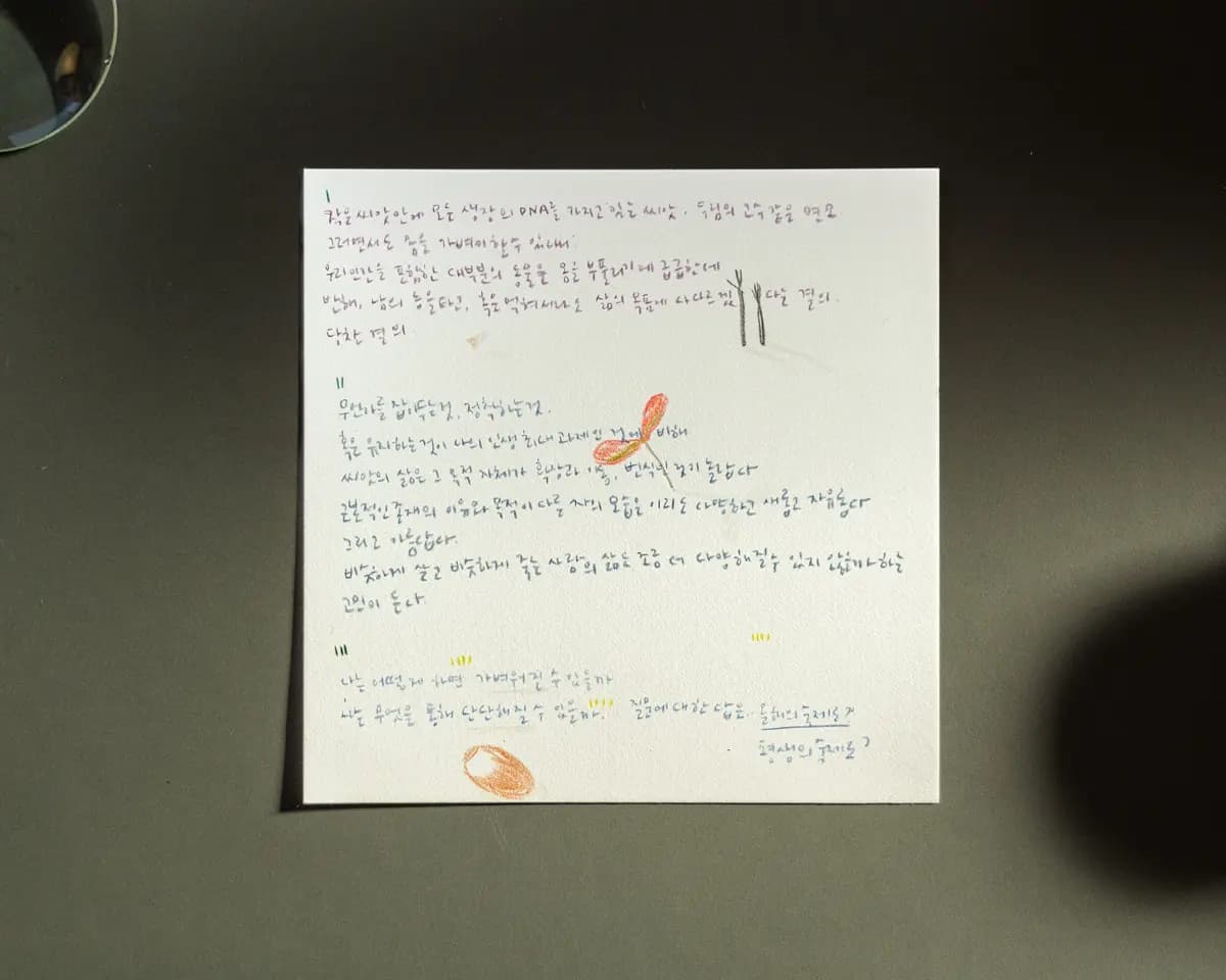 나에게 주는 용기 한 알, 씨앗 드로잉 워크숍