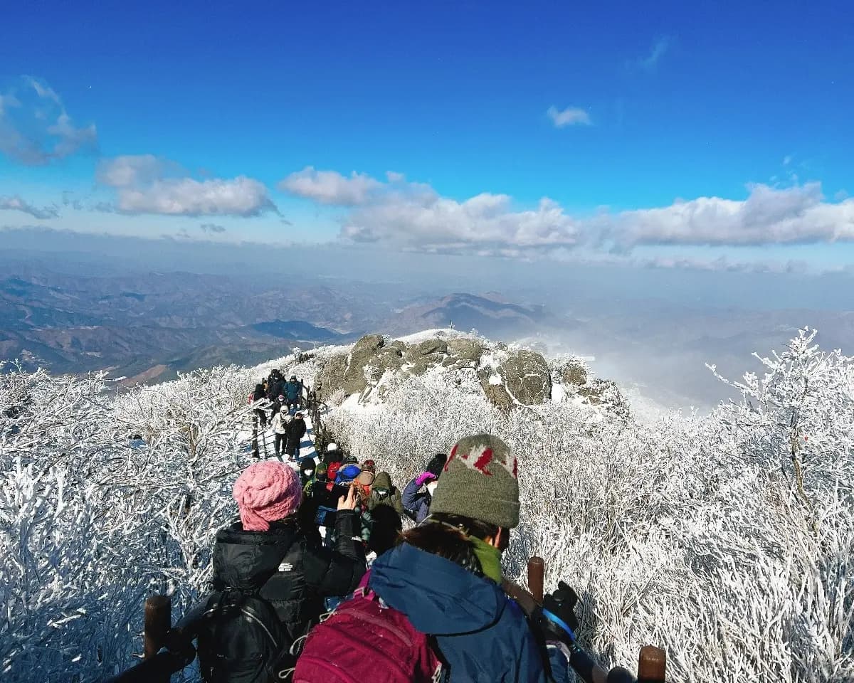 곤도라 타고 만나는 덕유산 눈꽃 기차여행
