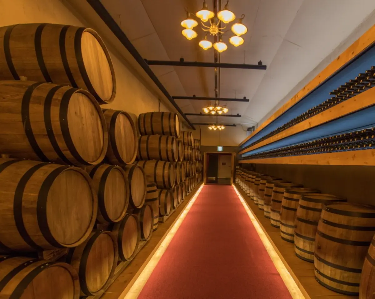 곤도라 타고 만나는 덕유산 눈꽃 기차여행