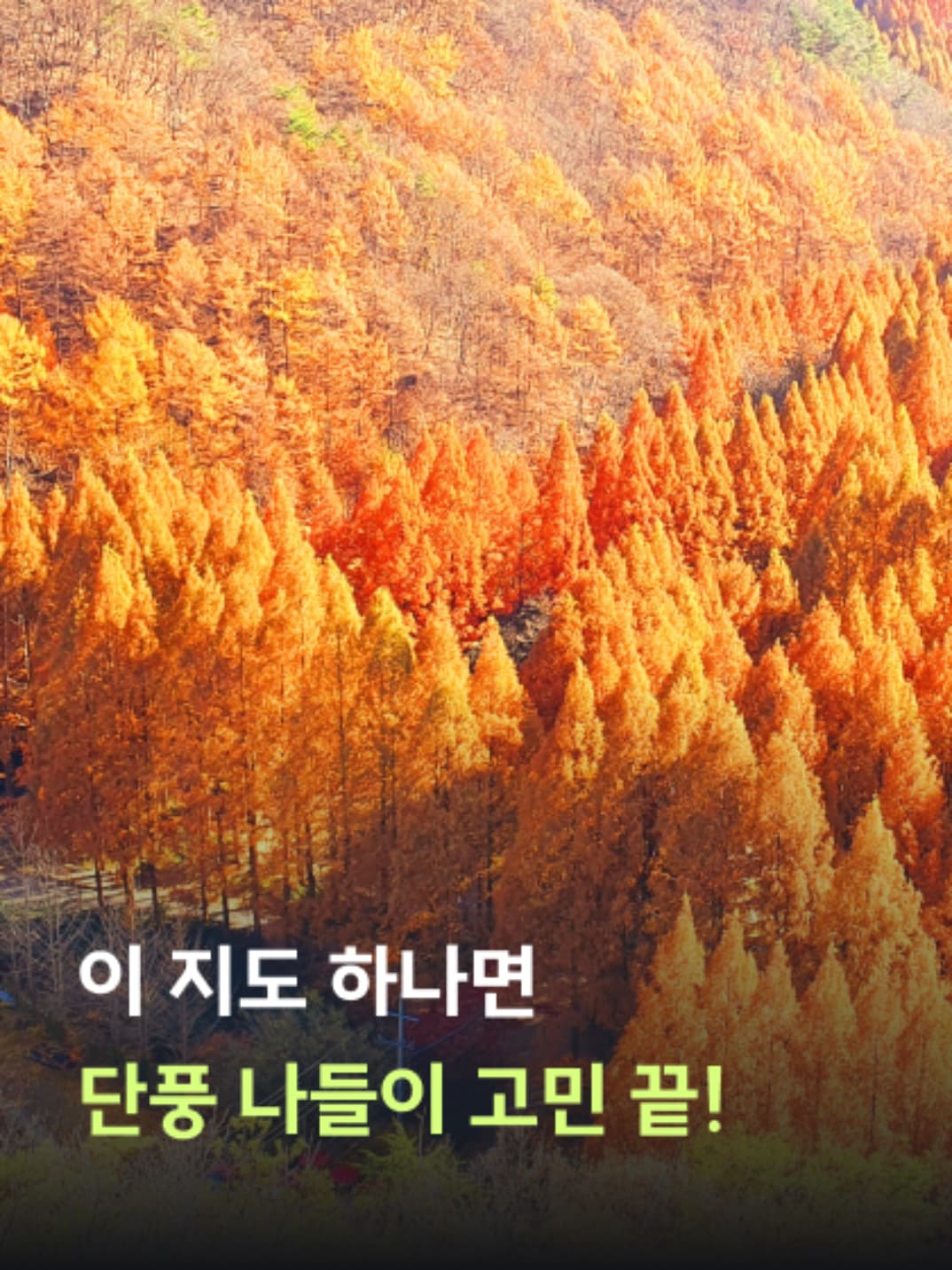 국내 최초 경험 선물 서비스, 프레프레