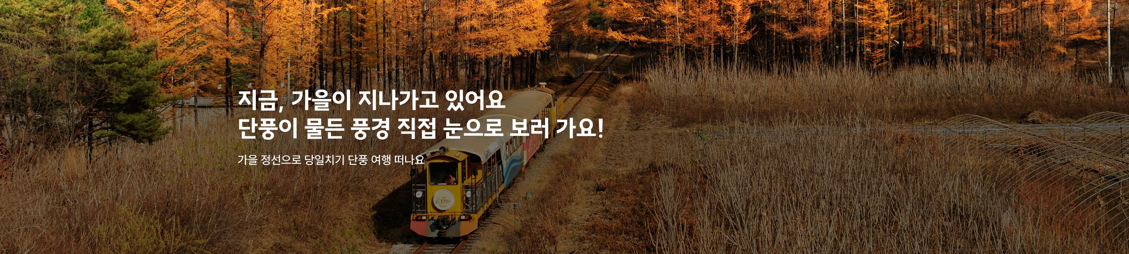 가을 풍경 속으로, 정선 단풍 당일치기 여행