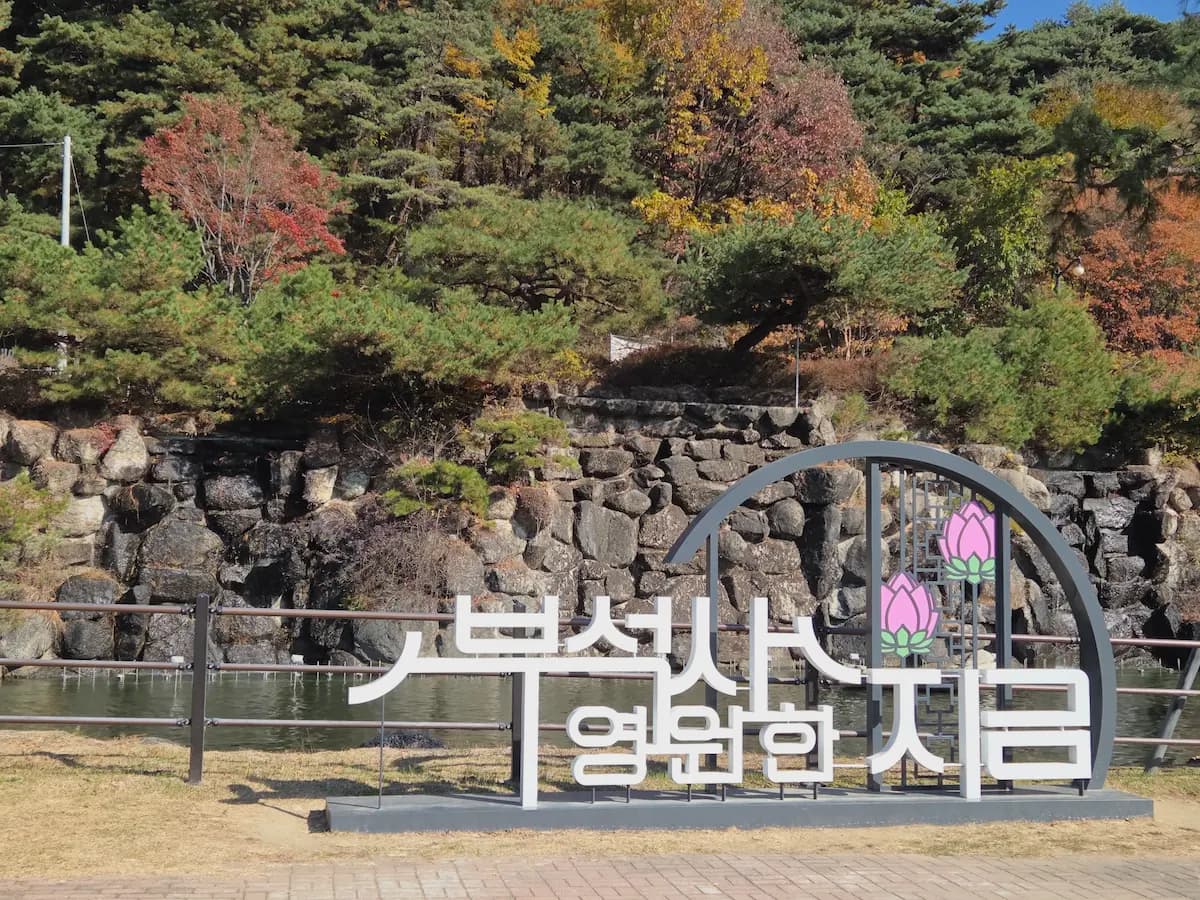 김준석의 올해 단풍 놀이는 이걸로 끝! 영주 당일치기 여행 리뷰 이미지