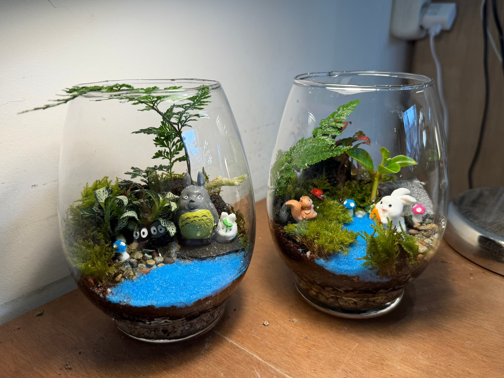 유리병 안 나만의 작은 정원, 테라리움 만들기  후기 이미지