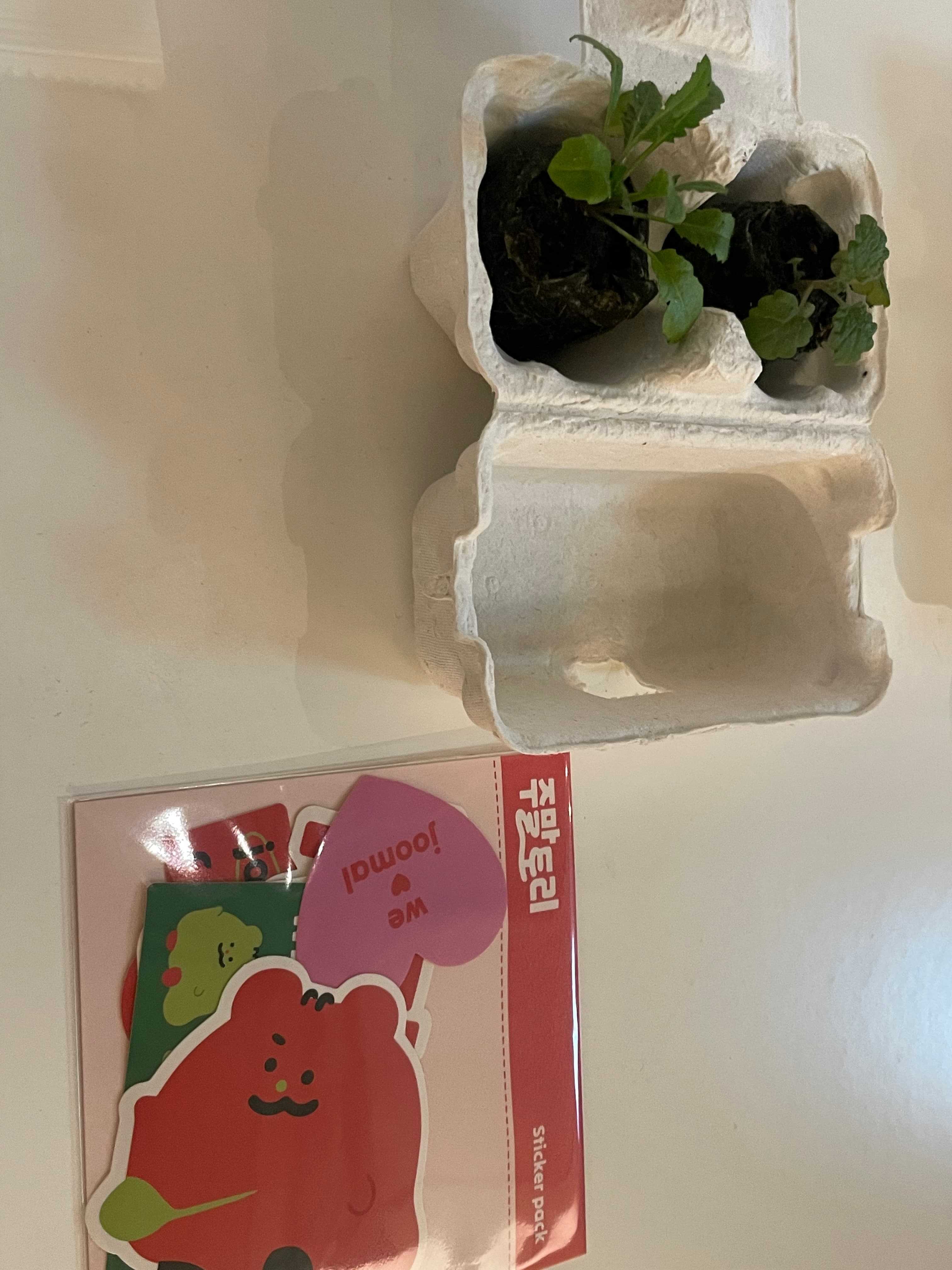 review-image