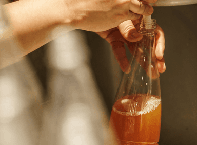 뚝딱뚝딱 맥주 실험실, 술술술 빠져드는 맥주 세계! 이미지