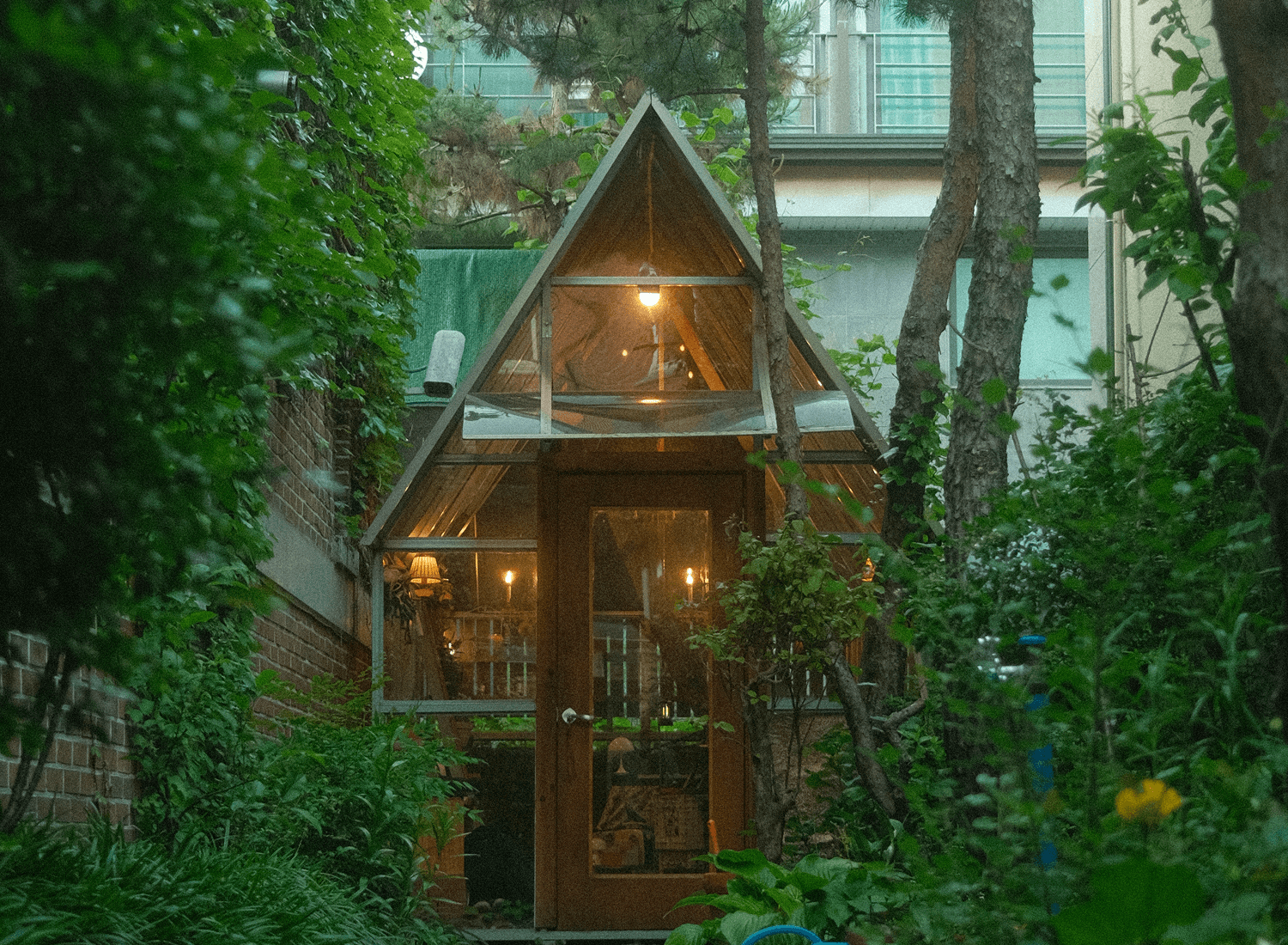 해금서가 | 한여름밤에 열리는 심야 서재
