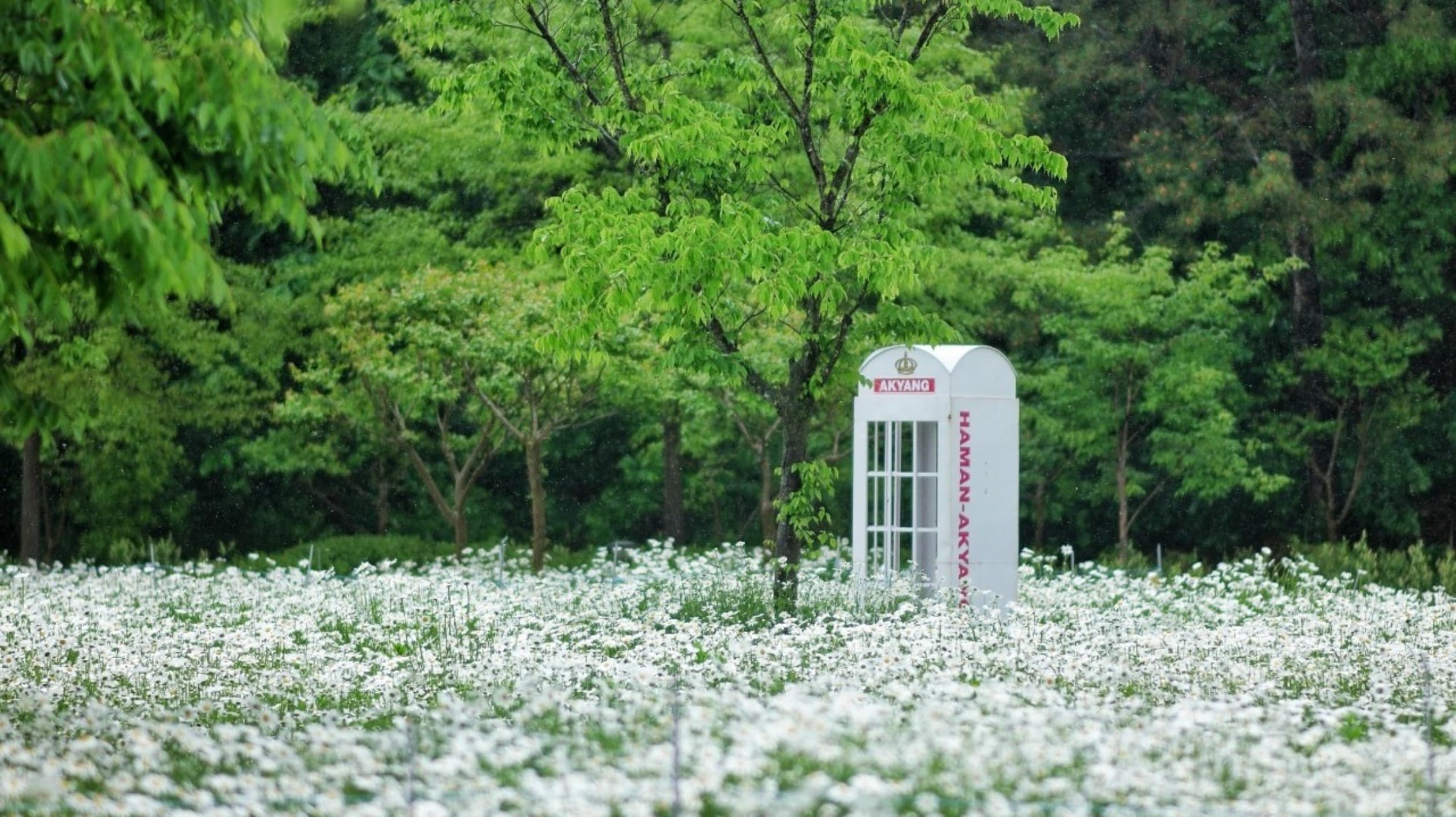 악양생태공원