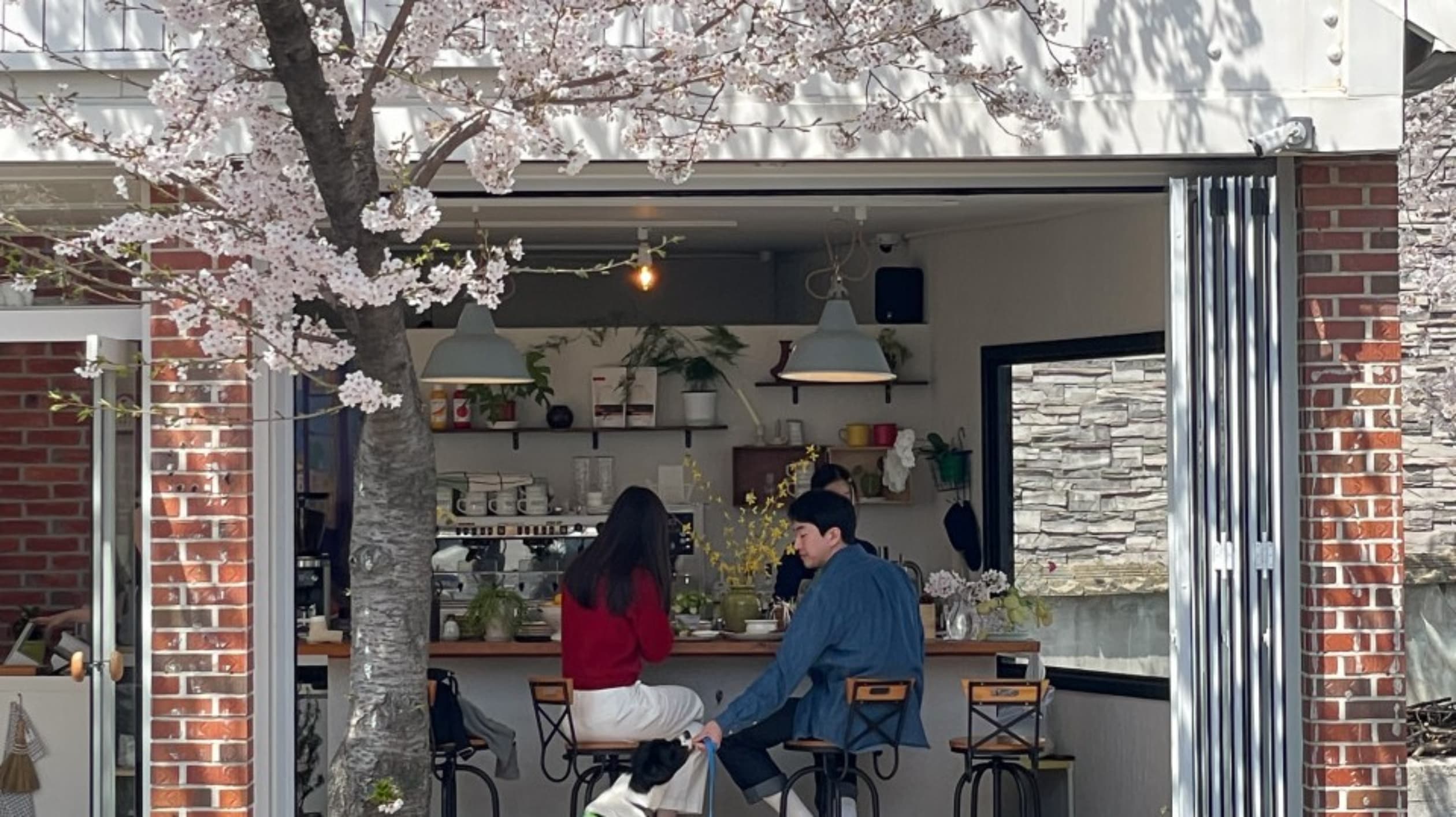 체체게하우스
