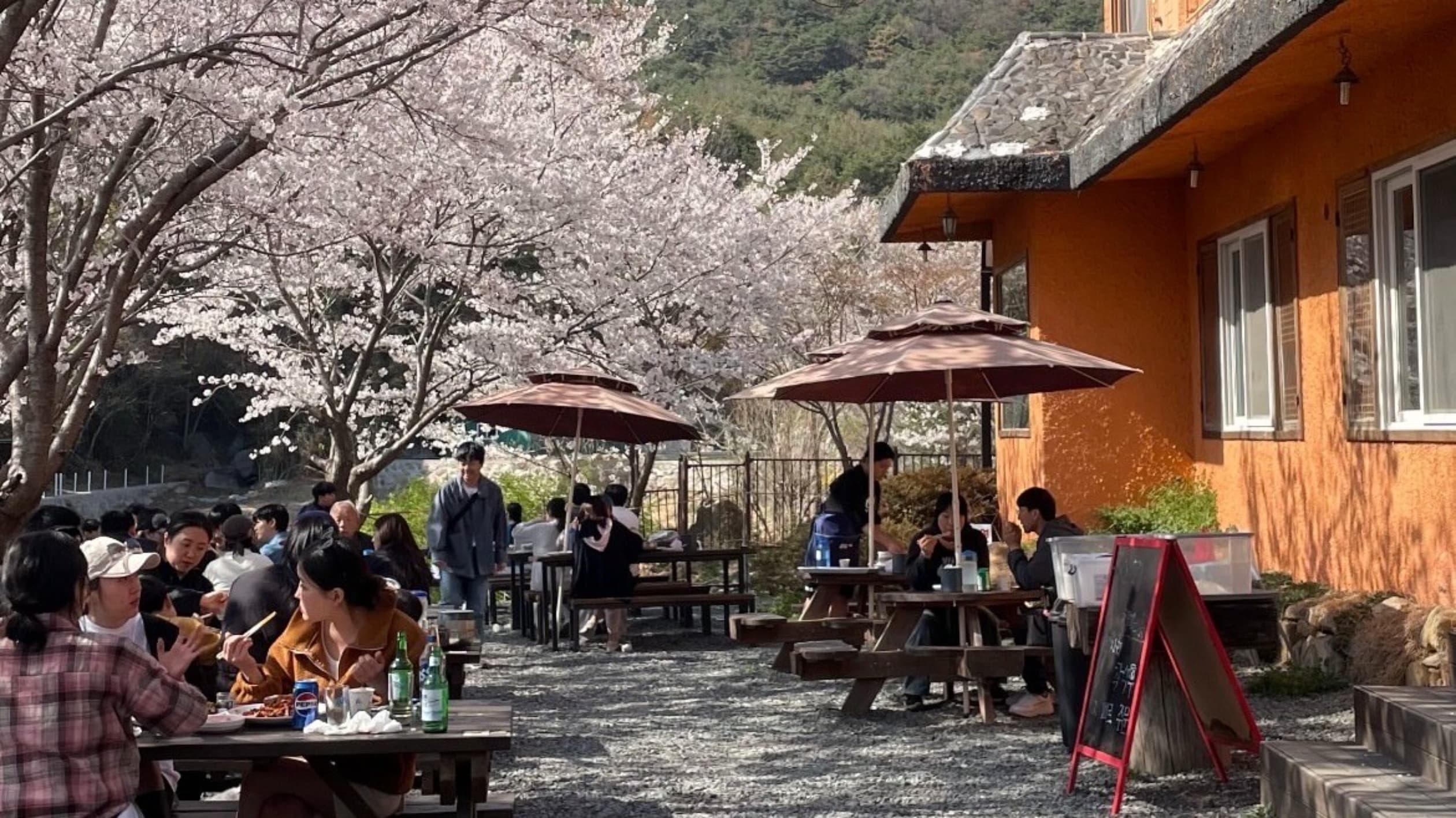 무라카데칼국수