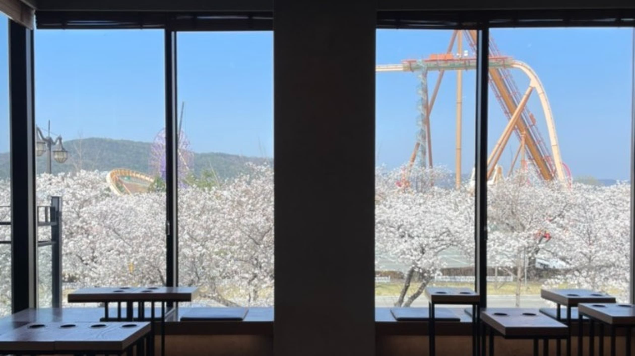 스타벅스 경주보문점