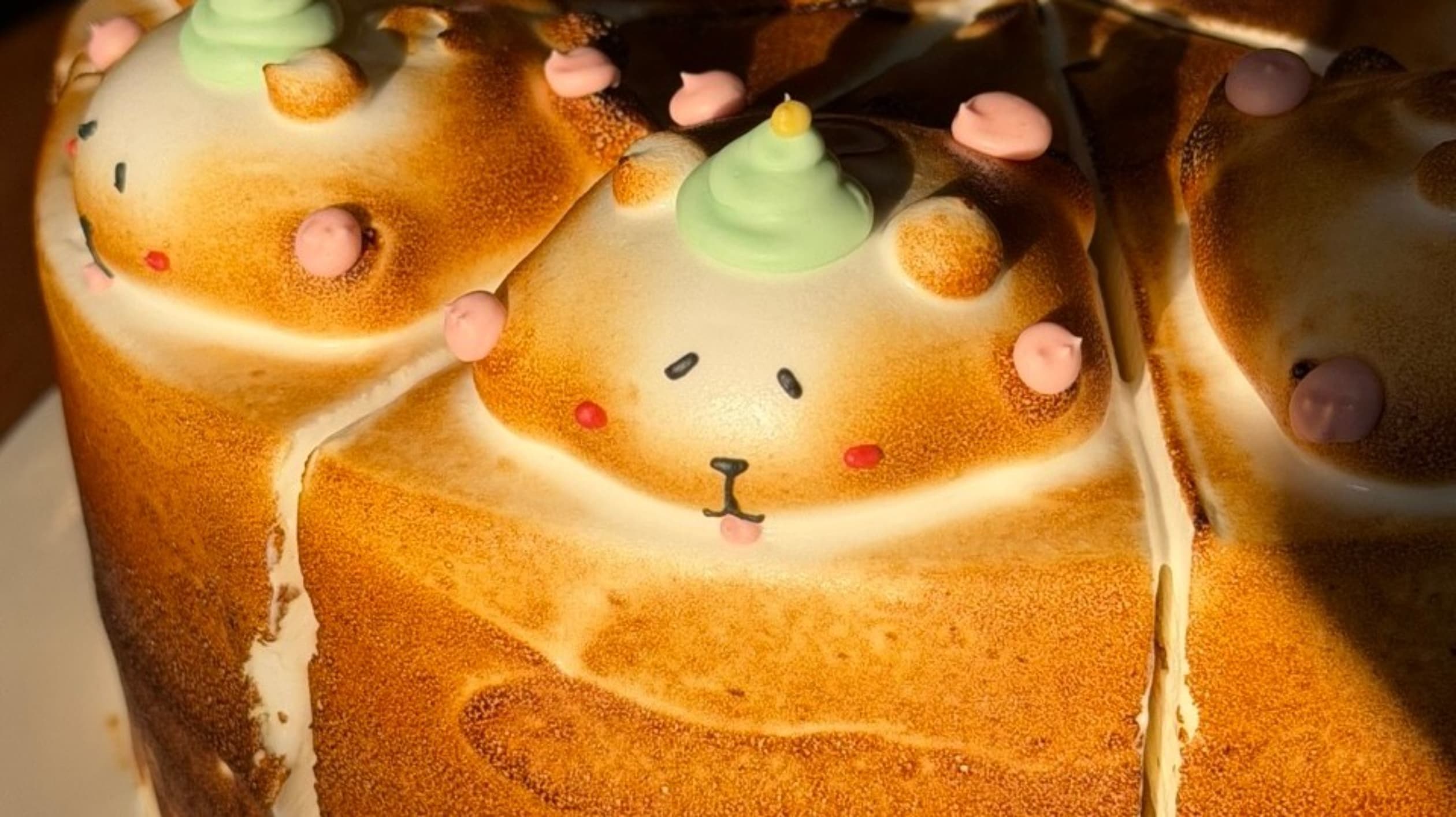 모도시