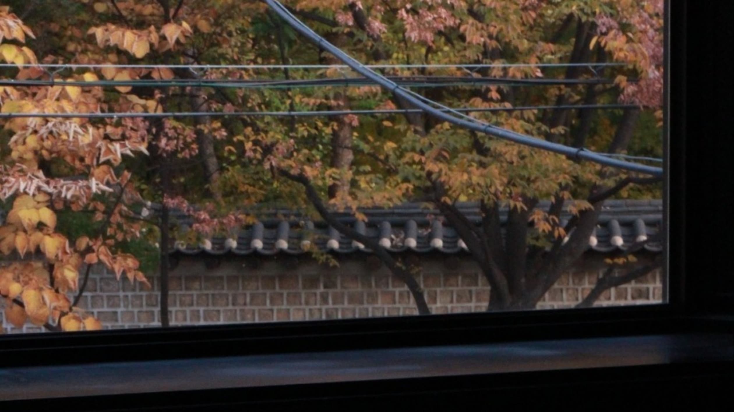 이다