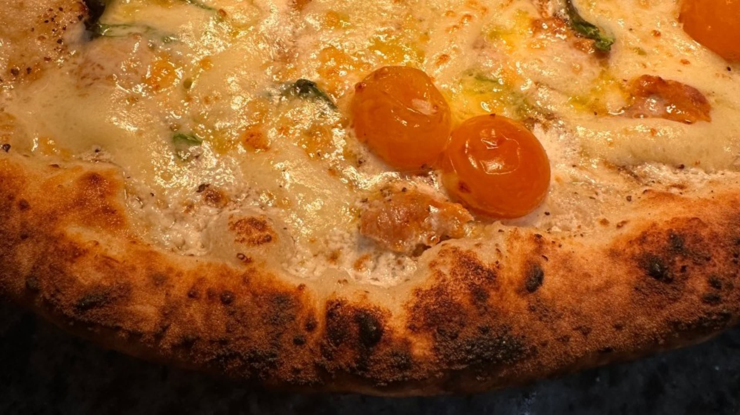 엘리스리틀이태리