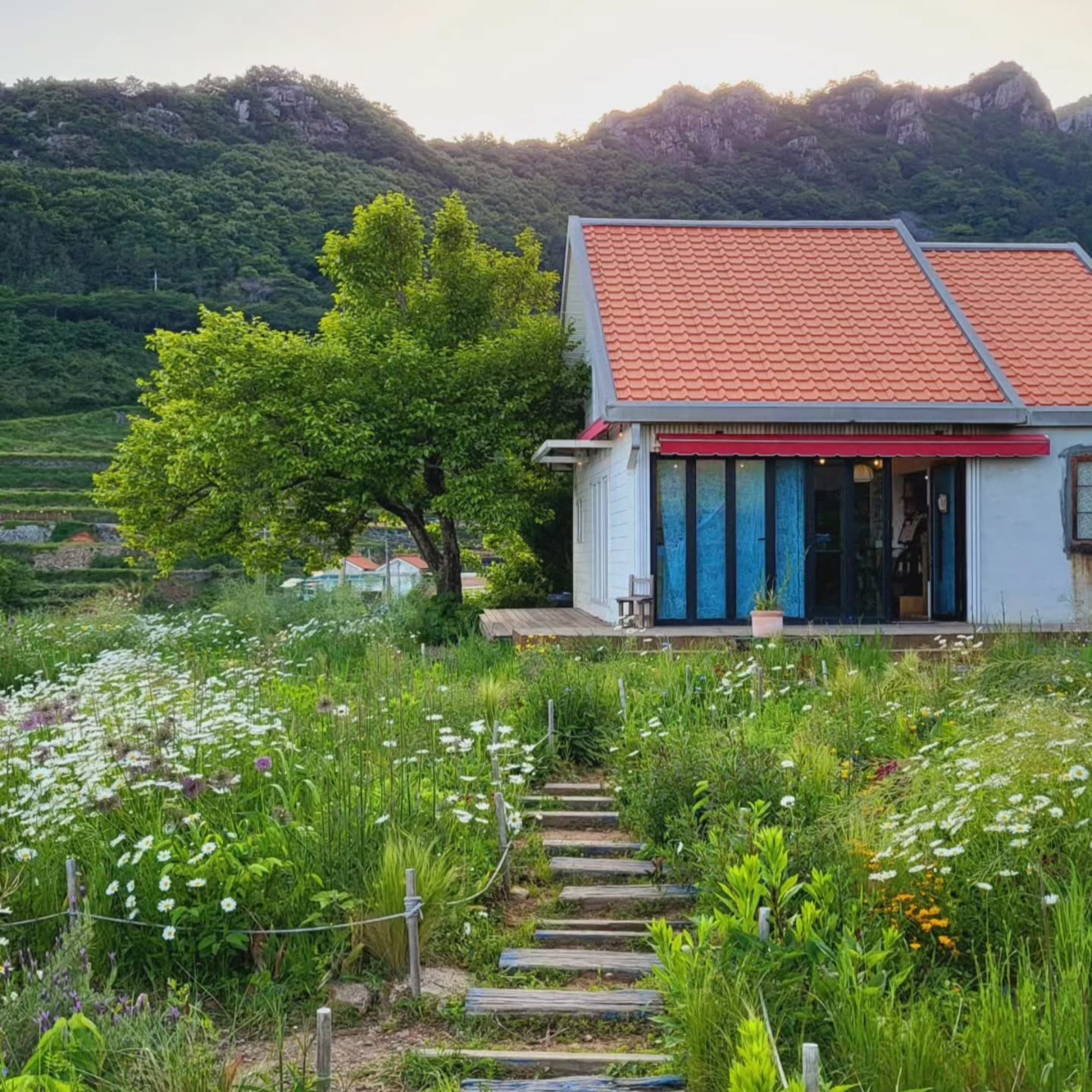 카페톨