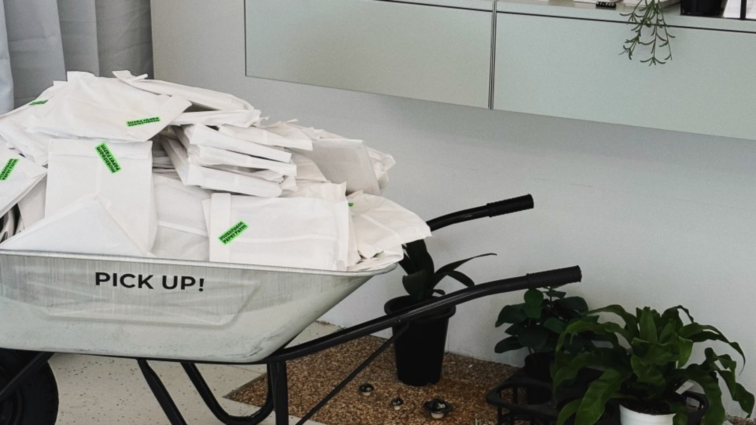 머쉬룸페이퍼팜