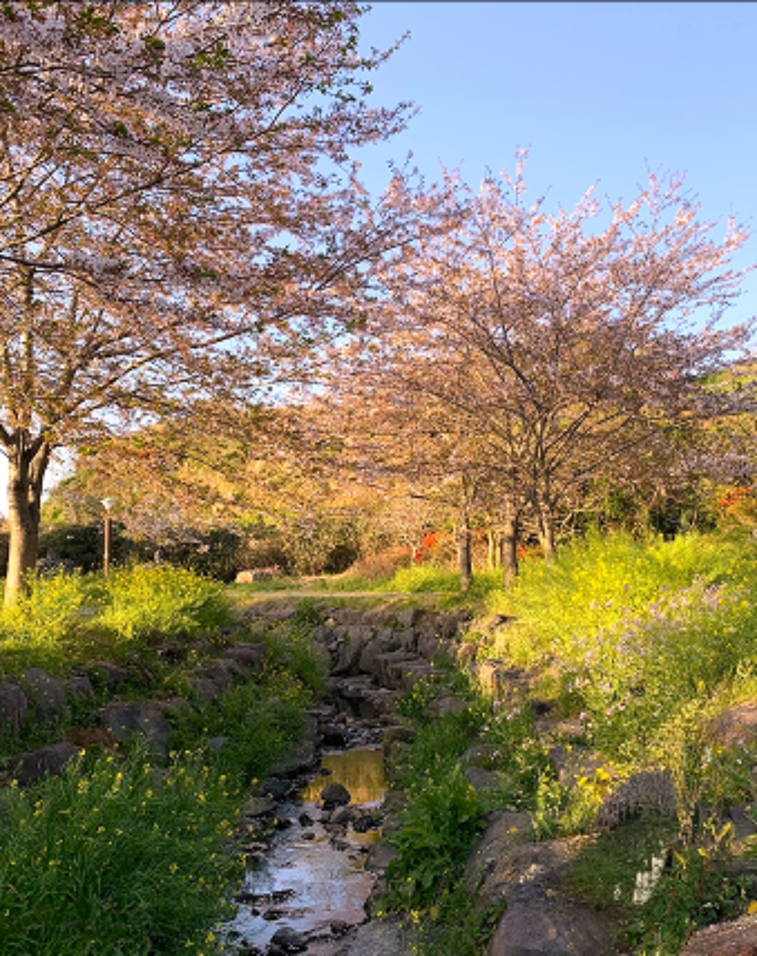 대왕수천예래생태공원