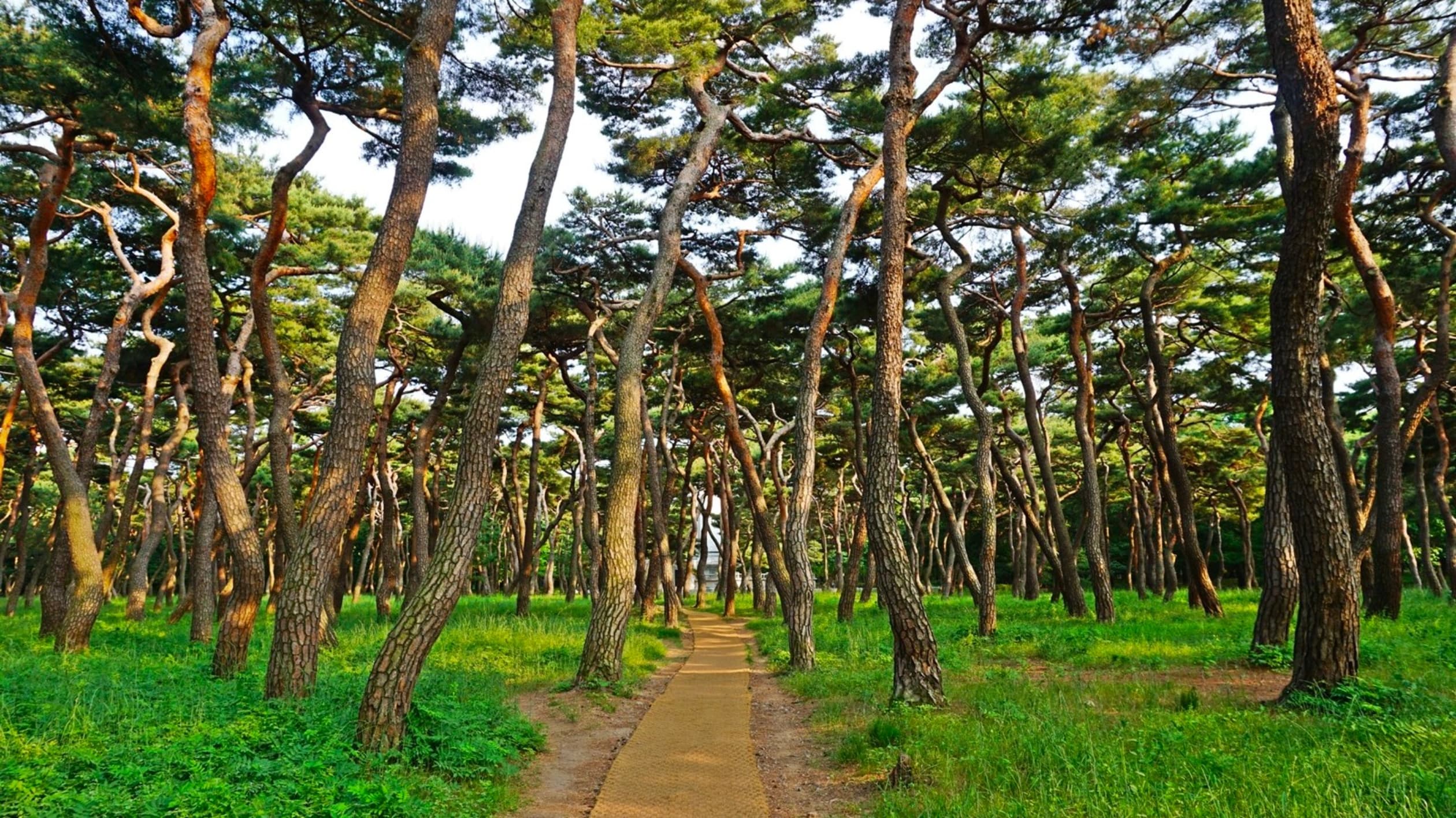 황성공원