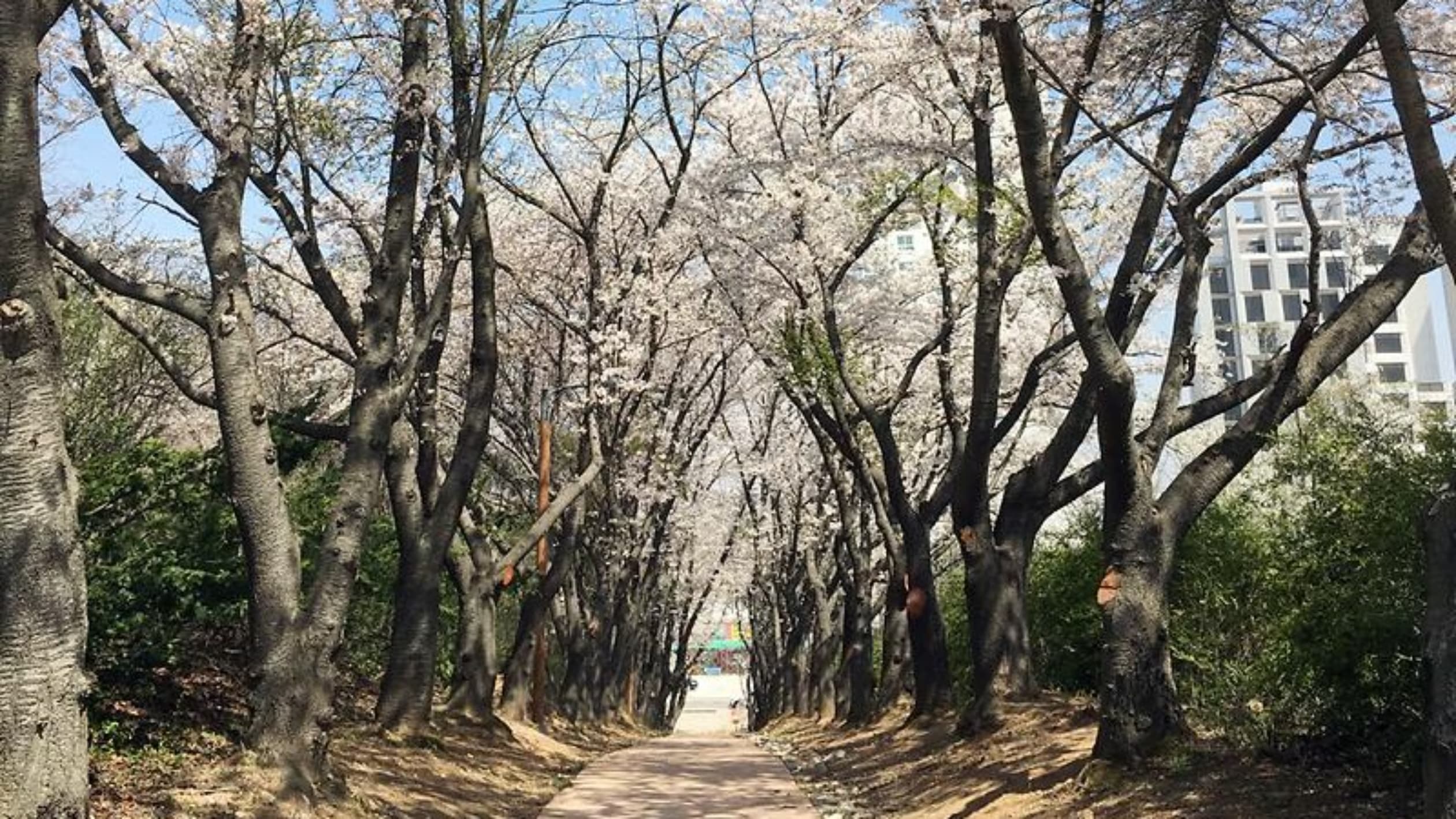 씨사이드파크 영종진