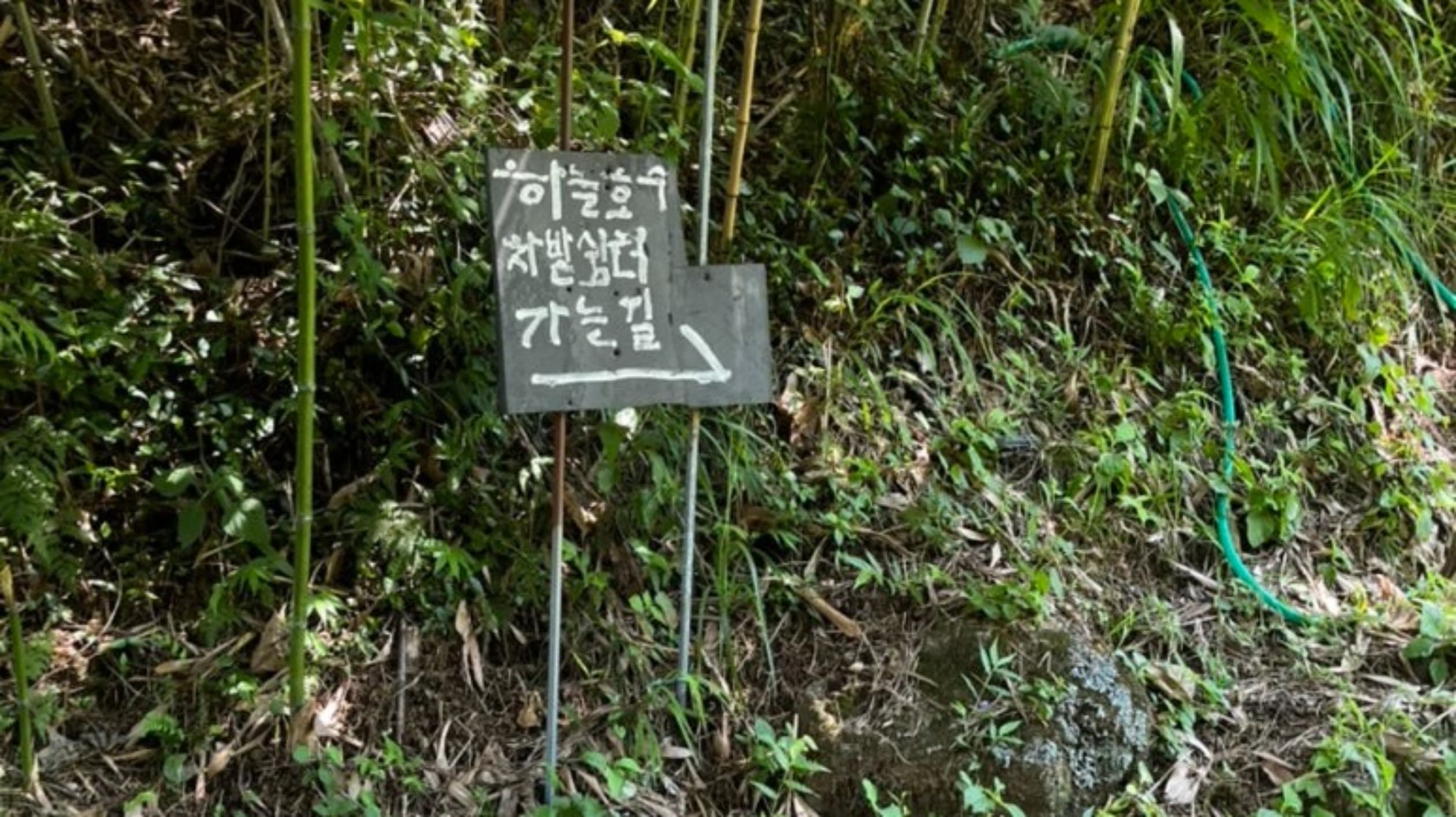 하늘호수차밭쉼터