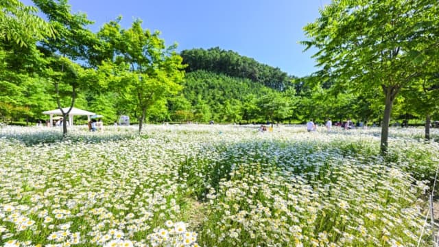 악양생태공원