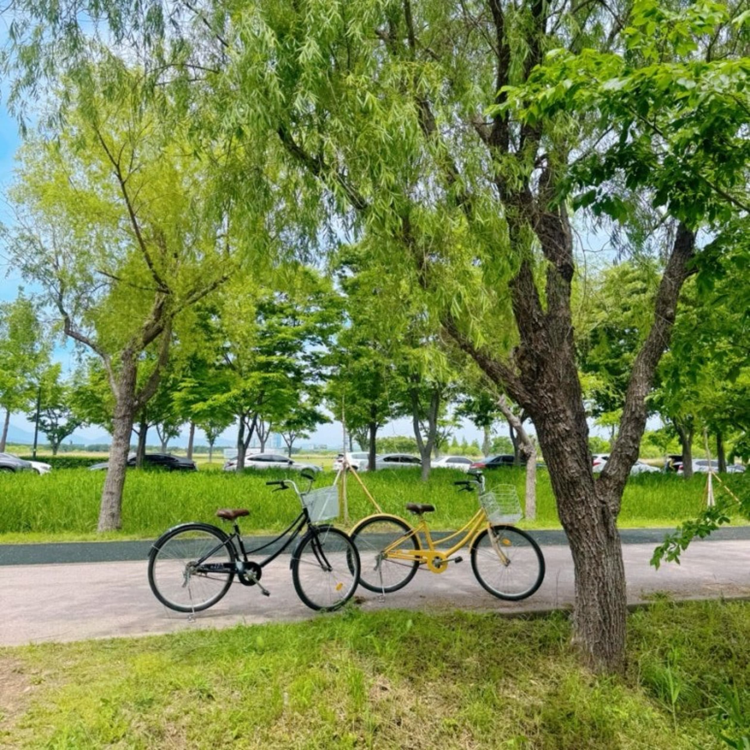 삼락생태공원