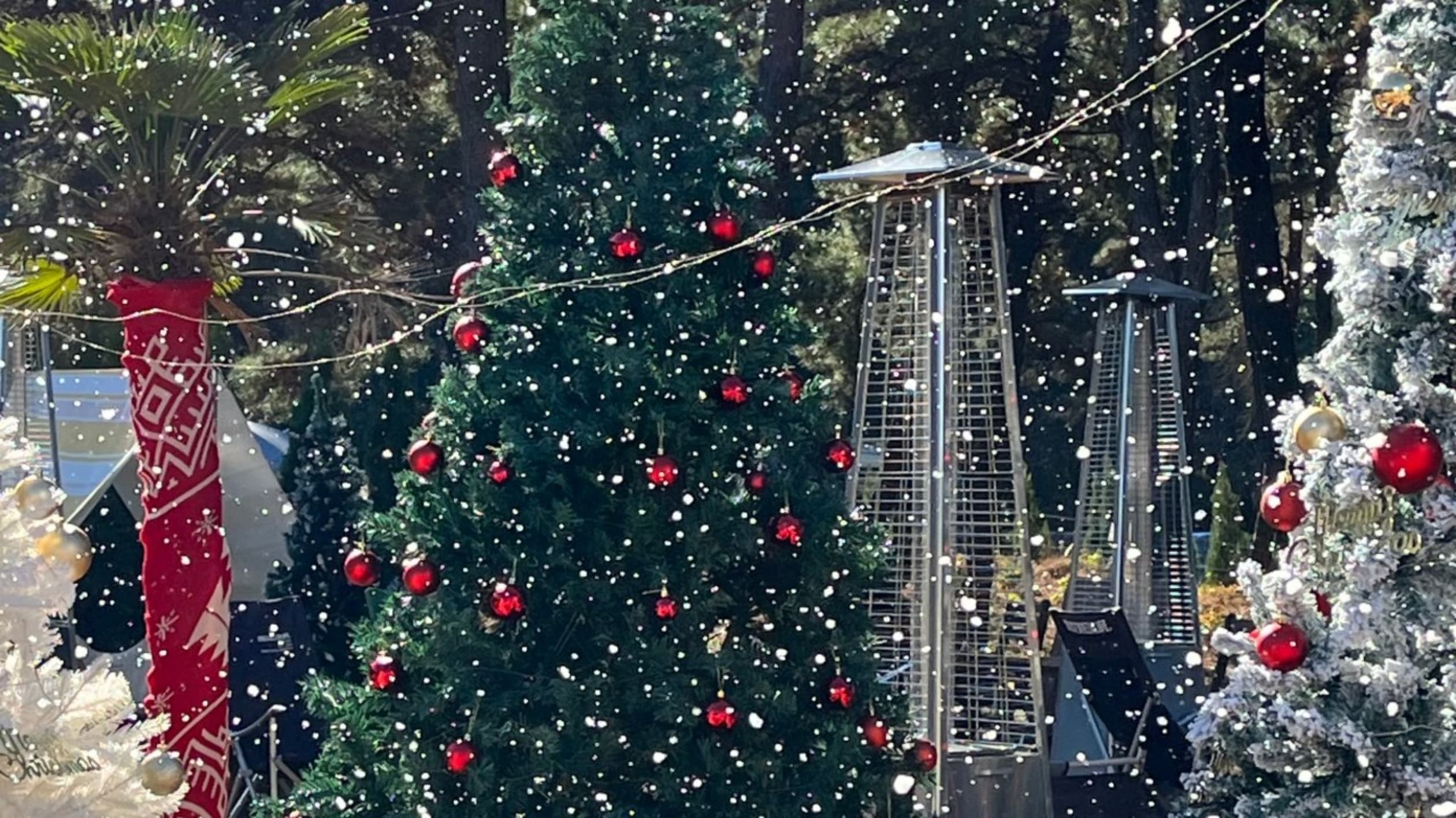 소디스커피 경주본점