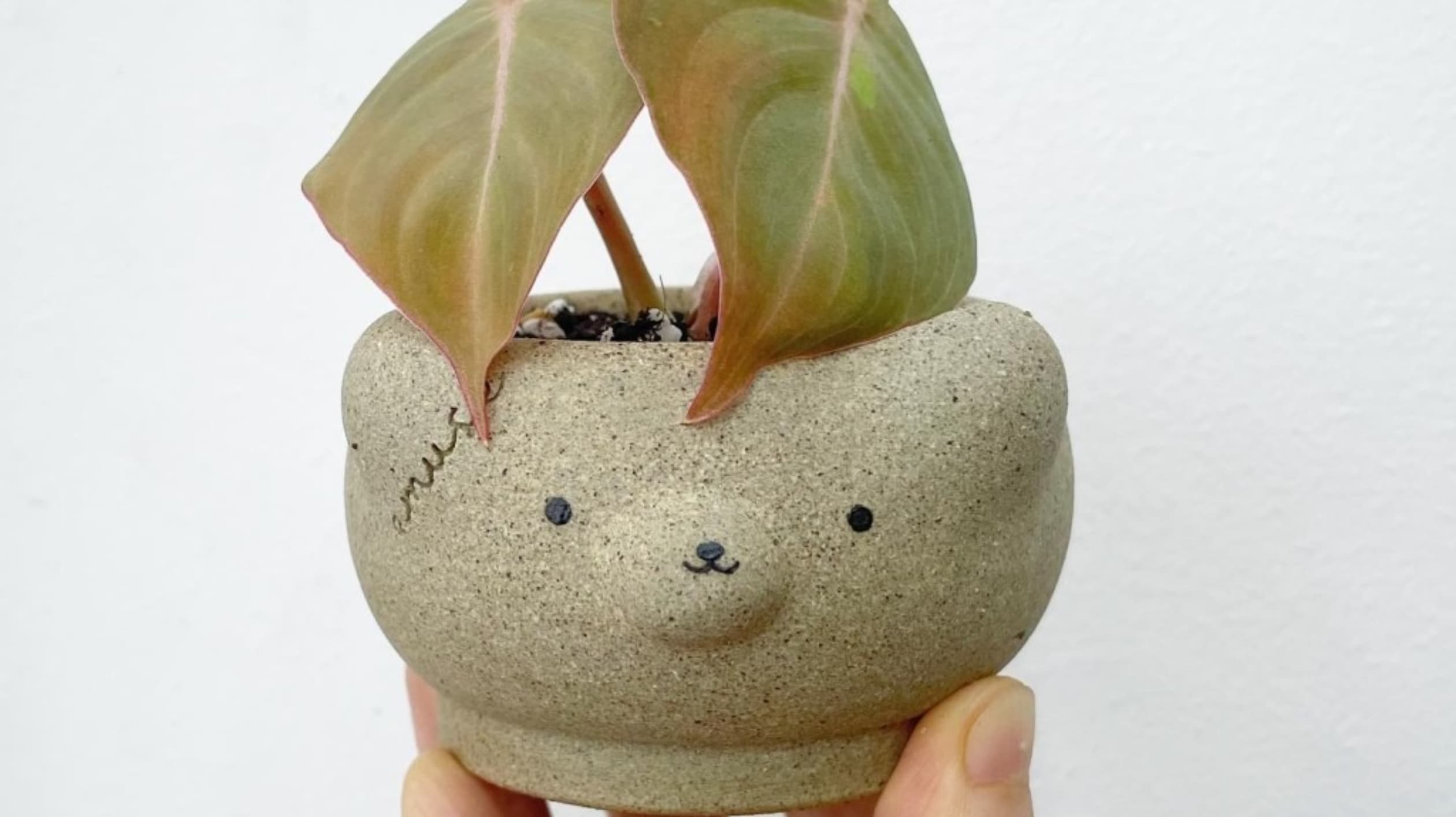 그린포레스트