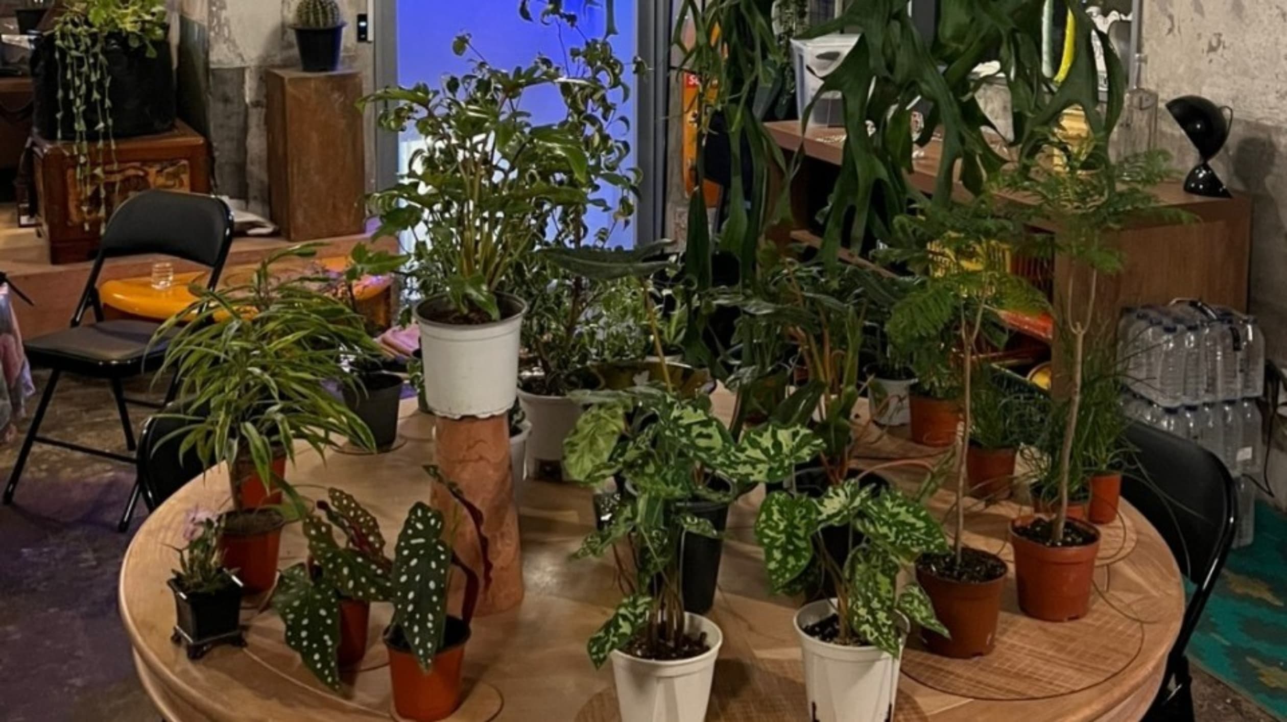 웰컴플랜트하우스