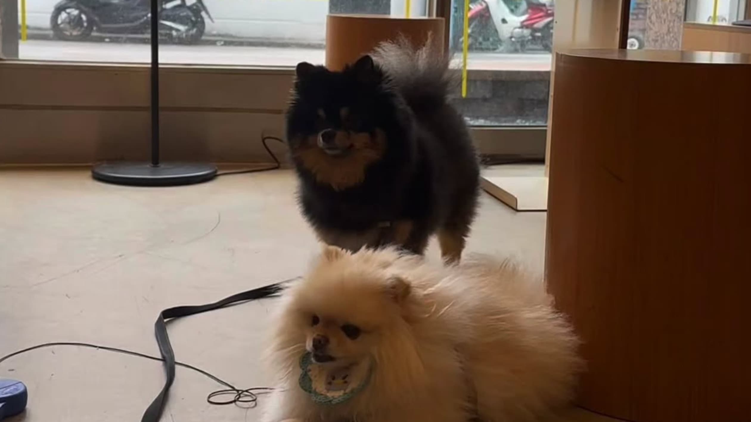이일삼점