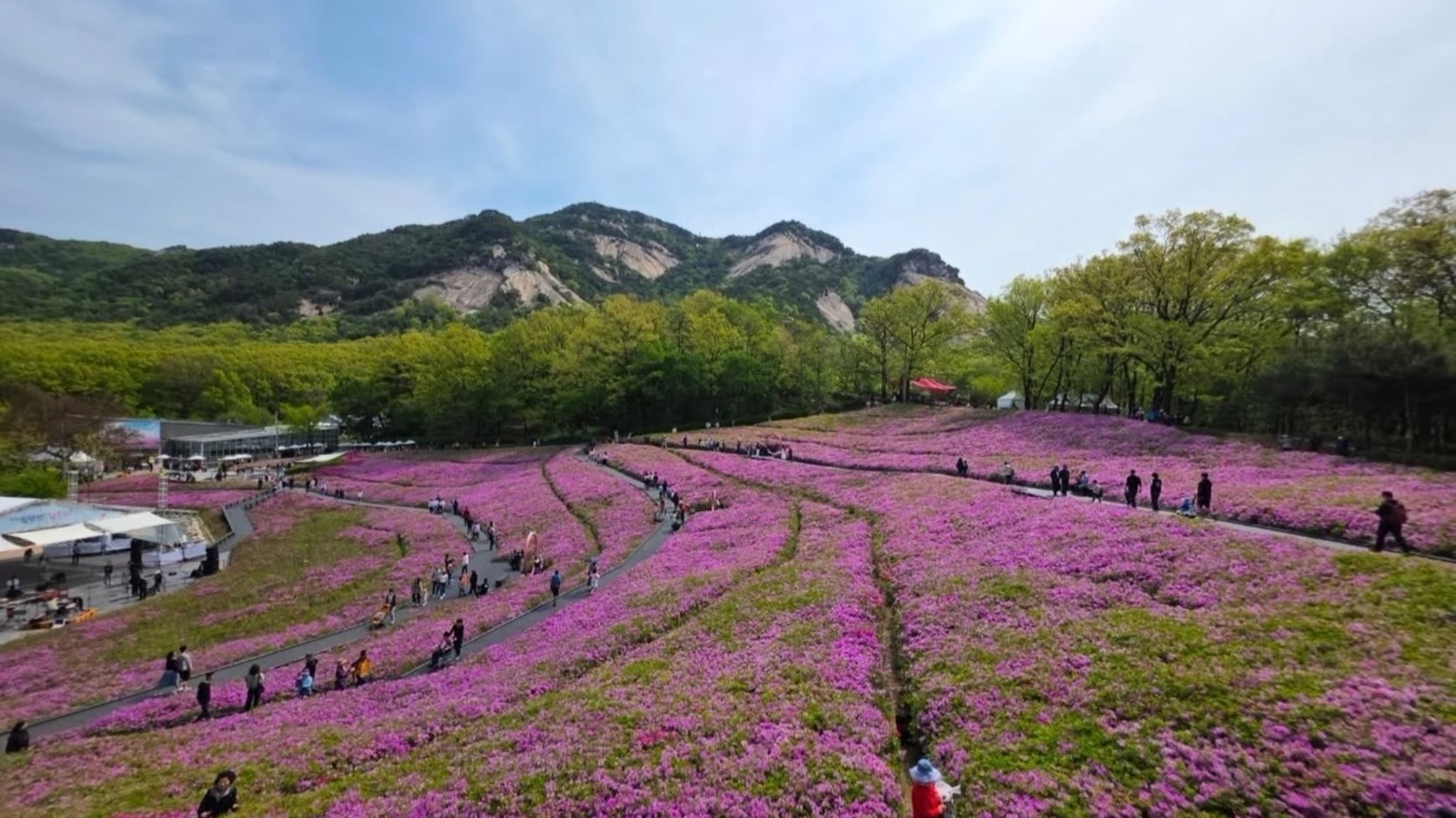 불암산나비정원