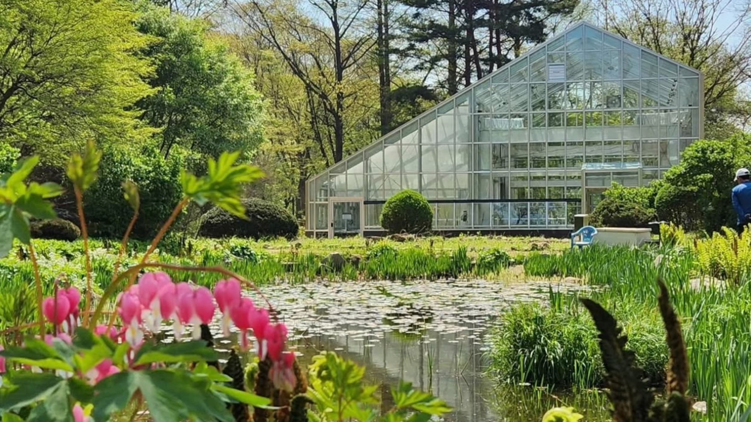 서울대 안양수목원