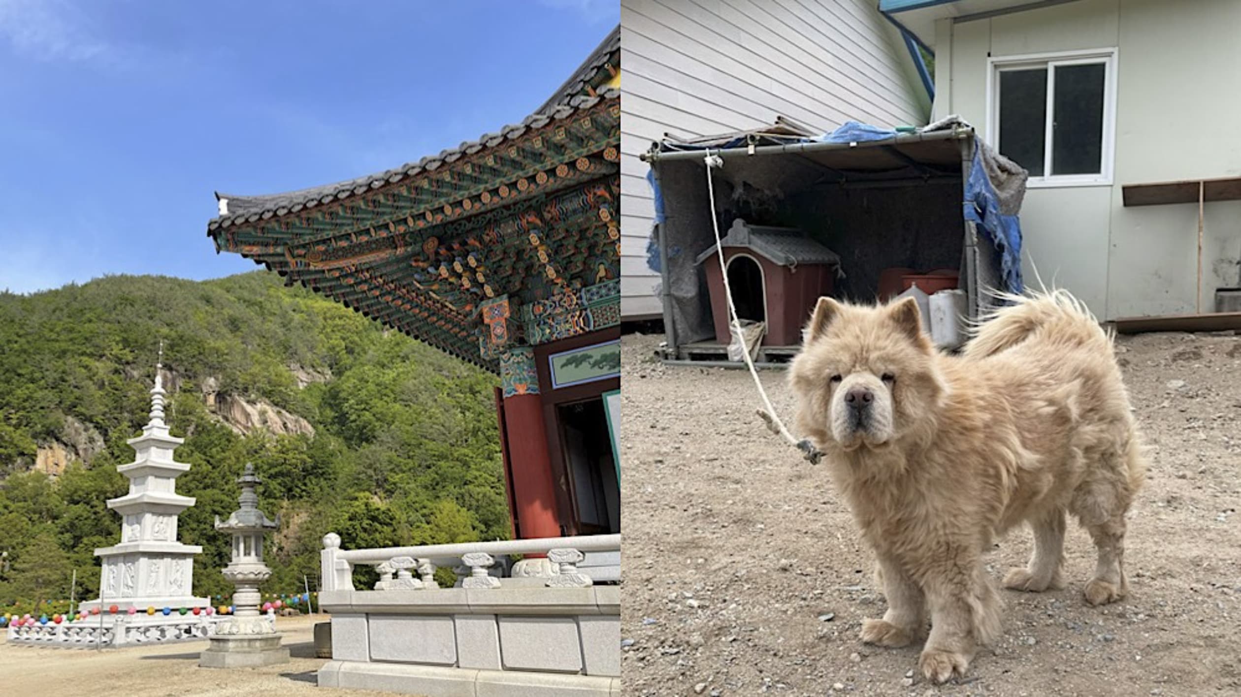 대흥사
